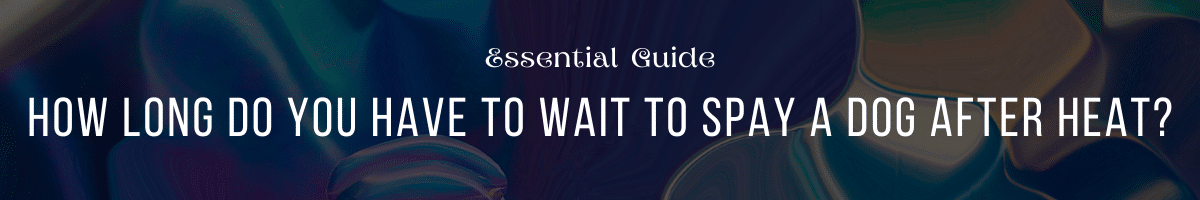 How Long Do You Have to Wait to Spay a Dog After Heat Essential Guide