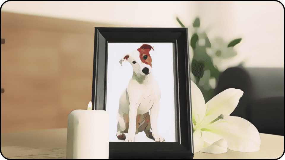 How deep to bury a dog A cute dog sitting on a photo frame adding charm to the picture
