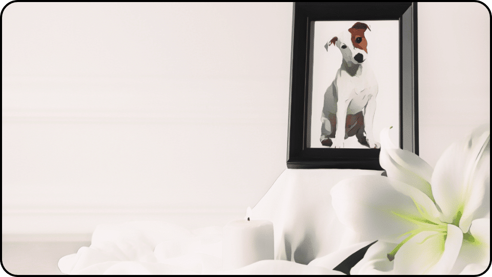 How deep to bury a dog A white flower and a framed photo of a dog sit together on a wooden table creating a warm and inviting scene