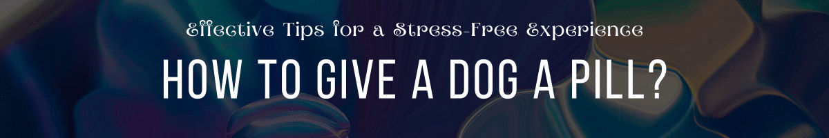 How to Give a Dog a Pill Effective Tips for a Stress Free