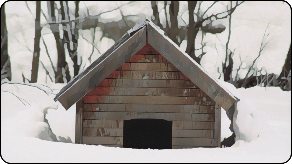 How to Insulate a Dog House A cozy dog house nestled in a blanket of fresh snow surrounded by a winter wonderland