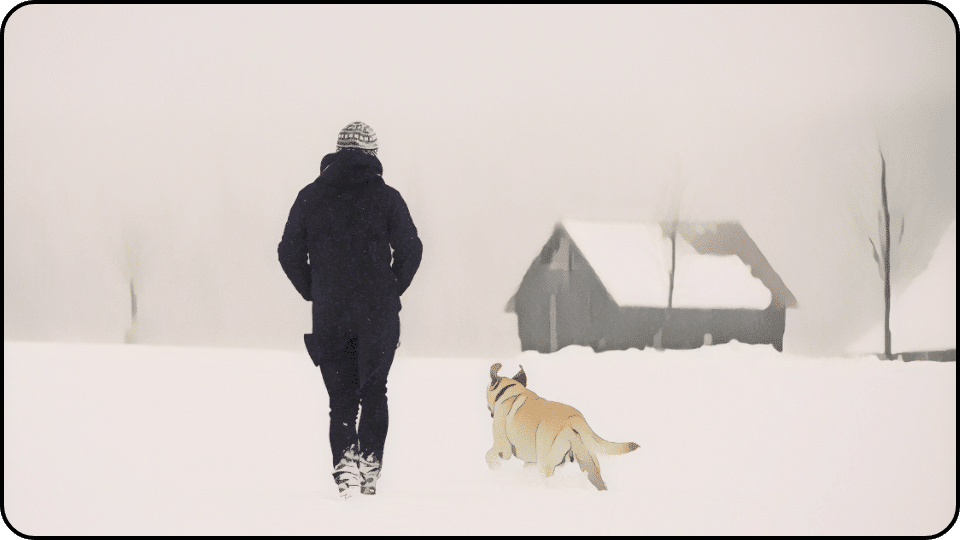 How to Insulate a Dog House A joyful scene of a person and their dog enjoying a winter walk in the snow surrounded by a serene snowy environment