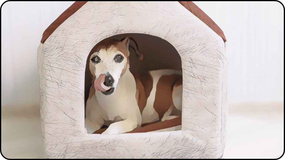 How to Insulate a Dog House A playful dog with its tongue out sits comfortably in a dog house radiating joy and