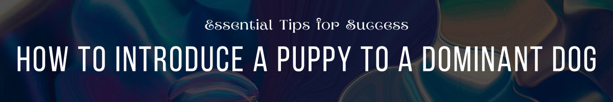 How to Introduce a Puppy to a Dominant Dog Essential Tips for Success