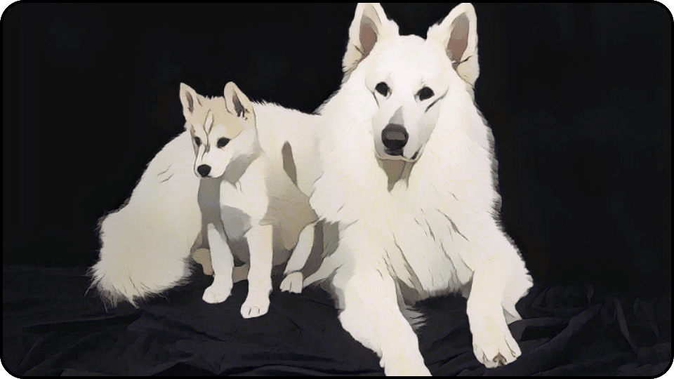 how to introduce a puppy to a dominant dog A fluffy white dog and a tiny dog sit together sharing a moment of friendship and warmth