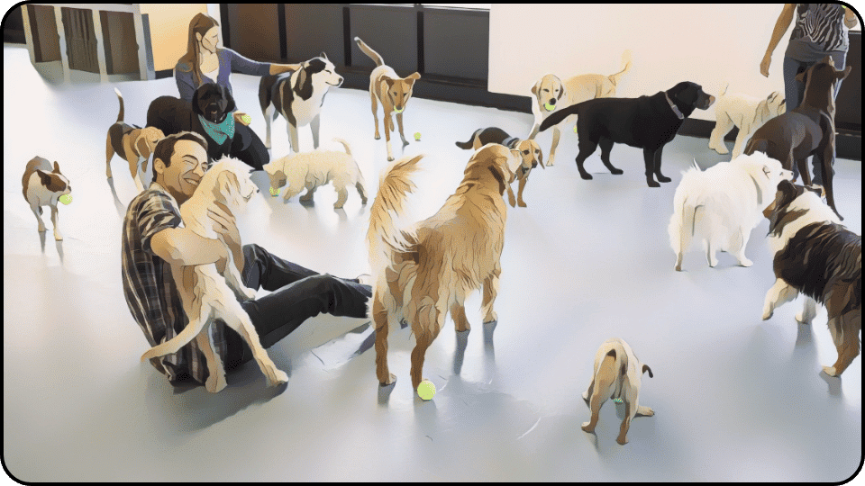 how to introduce a puppy to a dominant dog A man and a woman enjoying the company of several cheerful dogs in a bright sunny environment