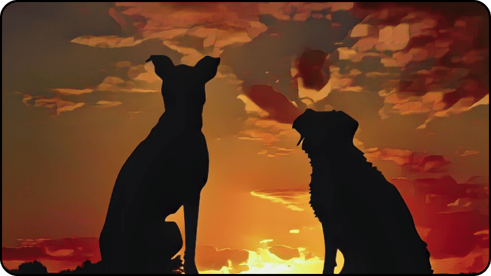 how to introduce a puppy to a dominant dog A picturesque sunset sky frames two dogs in silhouette highlighting their bond in a peaceful evening setting