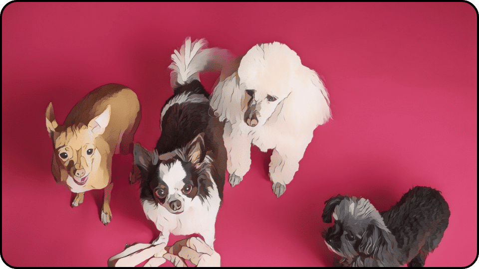 how to introduce a puppy to a dominant dog Four adorable dogs standing together against a vibrant pink background showcasing their playful personalities