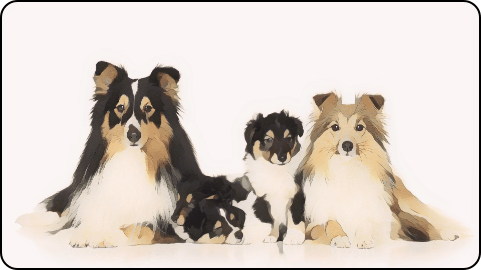 how to introduce a puppy to a dominant dog Three adorable dogs sitting side by side against a clean white background showcasing their playful personalities