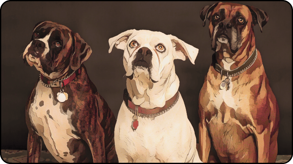 how to introduce a puppy to a dominant dog Three dogs sit closely together against a sleek black background showcasing their playful and friendly demeanor