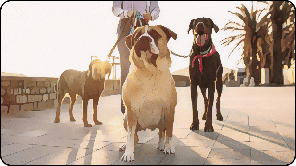 how to introduce a puppy to a dominant dog Three playful dogs on a sidewalk soaking up the sun and enjoying each others company