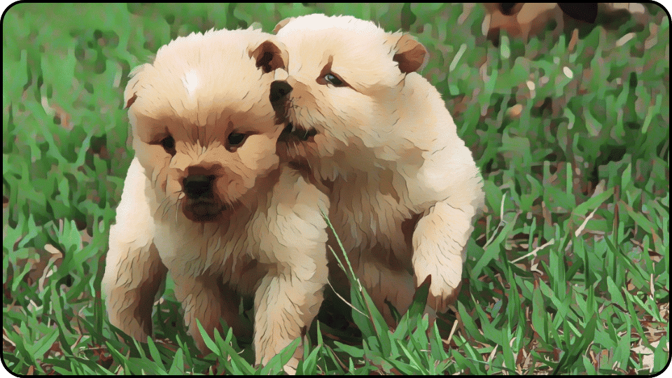 how to introduce a puppy to a dominant dog Two adorable puppies play joyfully in the grass showcasing their friendship and energy in a sunny setting