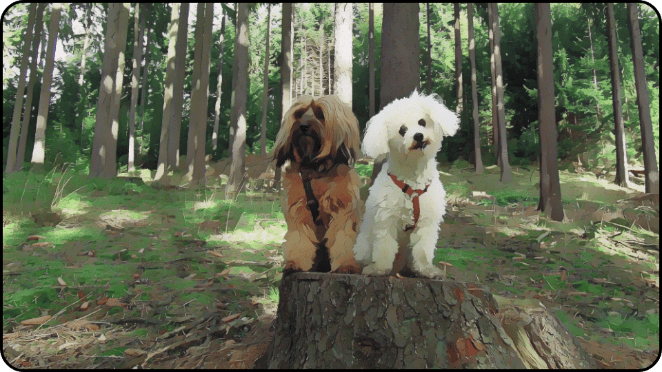 how to introduce a puppy to a dominant dog Two dogs happily sitting on a tree stump surrounded by lush greenery in a serene woodland setting