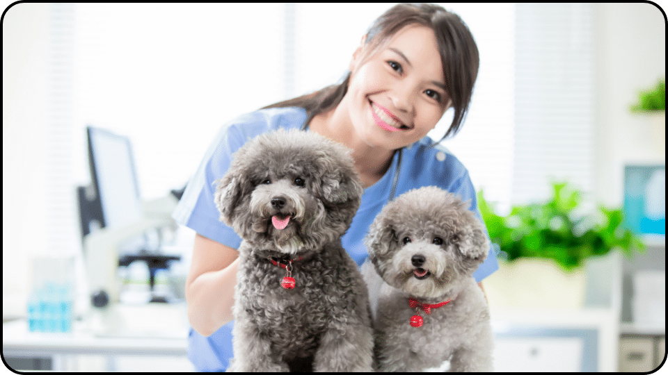 Can I give human aspirin to my dog