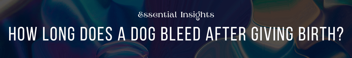 How Long Does a Dog Bleed After Giving Birth Essential Insights