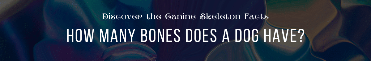 How Many Bones Does a Dog Have Discover the Canine Skeleton Facts