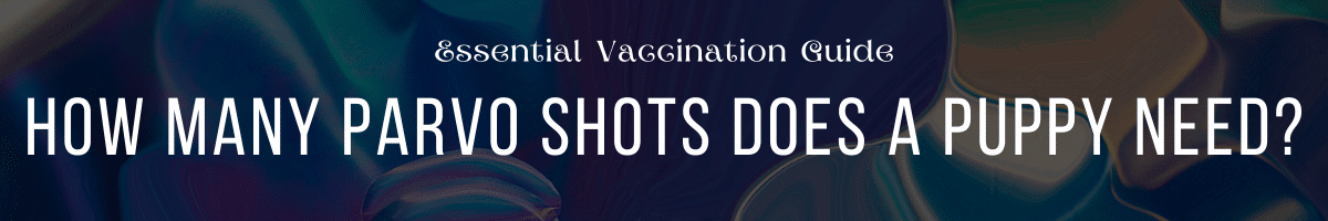 How Many Parvo Shots Does a Puppy Need Essential Vaccination Guide