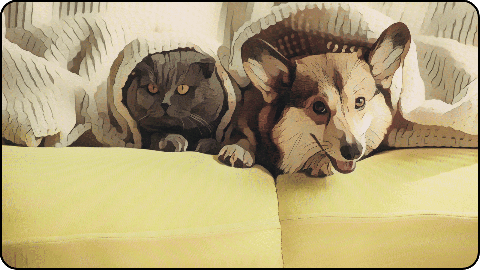How to Get Dog Pee Out of Couch A cozy scene of a dog and a cat peacefully resting together on a couch showcasing their friendship and comfort