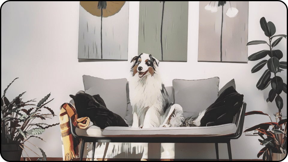 How to Get Dog Pee Out of Couch A happy dog lounging on a couch gazing at a colorful painting hanging on the wall