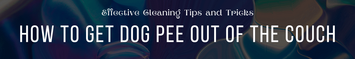 How to Get Dog Pee Out of Couch Effective Cleaning Tips and Tricks