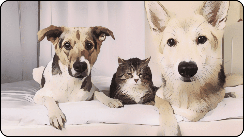 How to Get Dog Pee Out of Couch Three playful dogs and a curious cat sit together on a soft bed enjoying each others company in a cozy setting