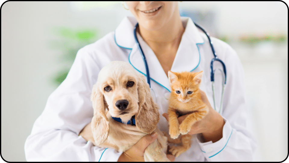 Potential Side Effects and Risks