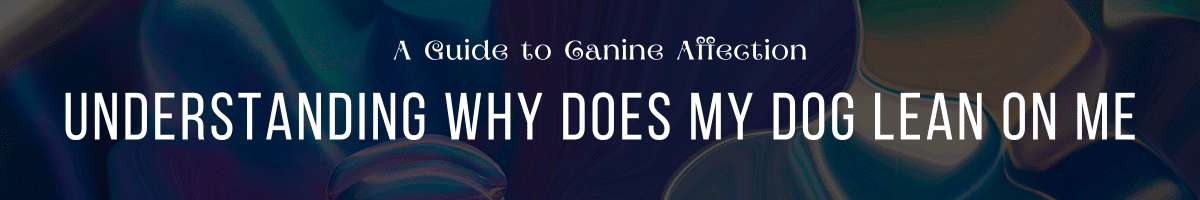 Understanding Why Does My Dog Lean on Me A Guide to Canine Affection