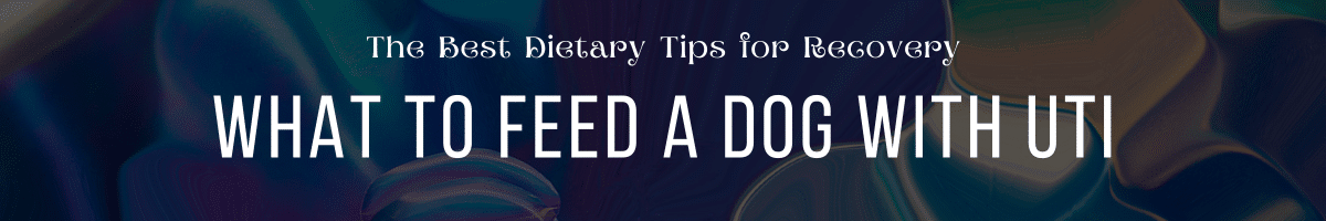 What to Feed a Dog with UTI The Best Dietary Tips for Recovery