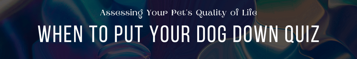 When to Put Your Dog Down Quiz Assessing Your Pet's Quality of Life