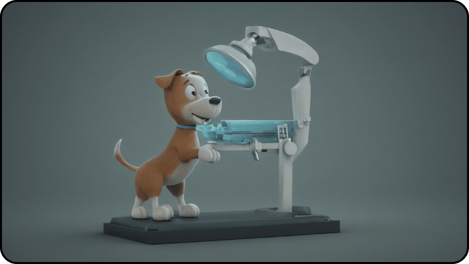 how to make a dog with a slipped disc comfortable playing with x ray machine